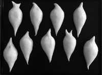 <div id=myiframe><iframe src=http://www.facebook.com/plugins/like.php?href=http%3A%2F%2Fsajha%2Ecom%2Fsajha%2Fhtml%2Findex%2Ecfm%3Frecommendations%3D1%26id%3D177%26photofile%3Dimage3%2Ejpg&layout=standard&show_faces=false&share=true&width=450&action=like&colorscheme=dark&height=15 scrolling=no frameborder=0 allowTransparency=true></iframe></div>